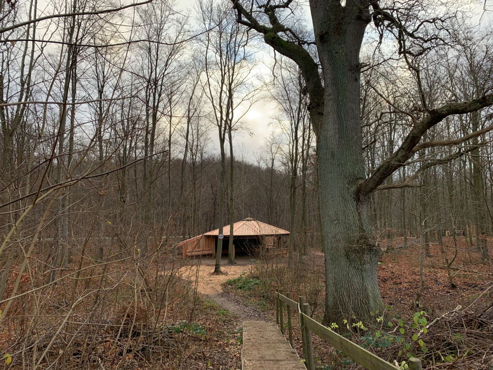 Shelter ved Gribskov Lilleskole – miniature 2