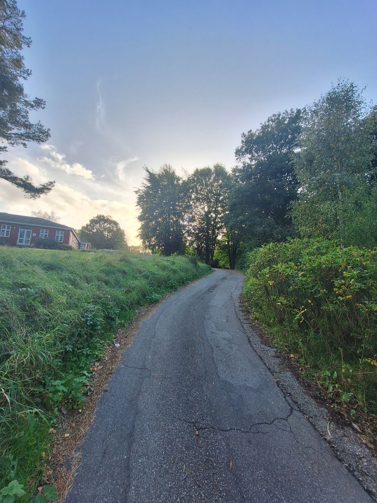 Den asfalterede vej der løber ned til parkeringspladsen