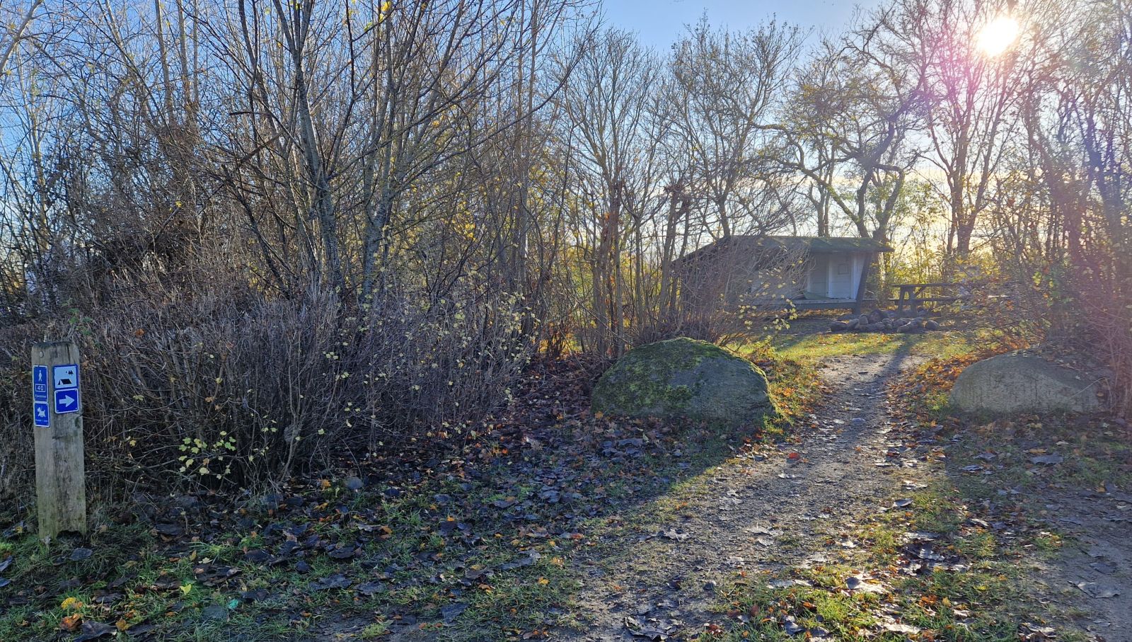 Shelter til 4-5 sovepladser samt plads til egne telte