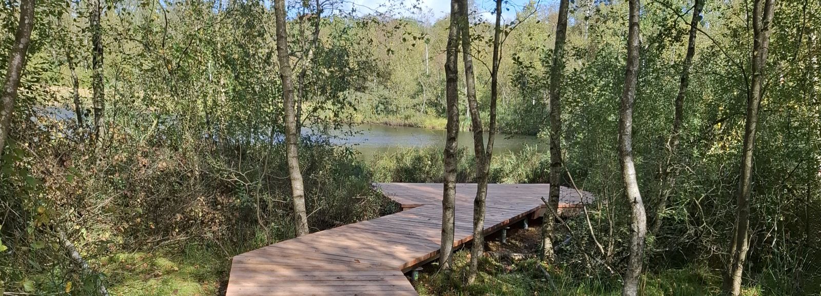 Udsigt til tørvesøen med Skjernås Udspring