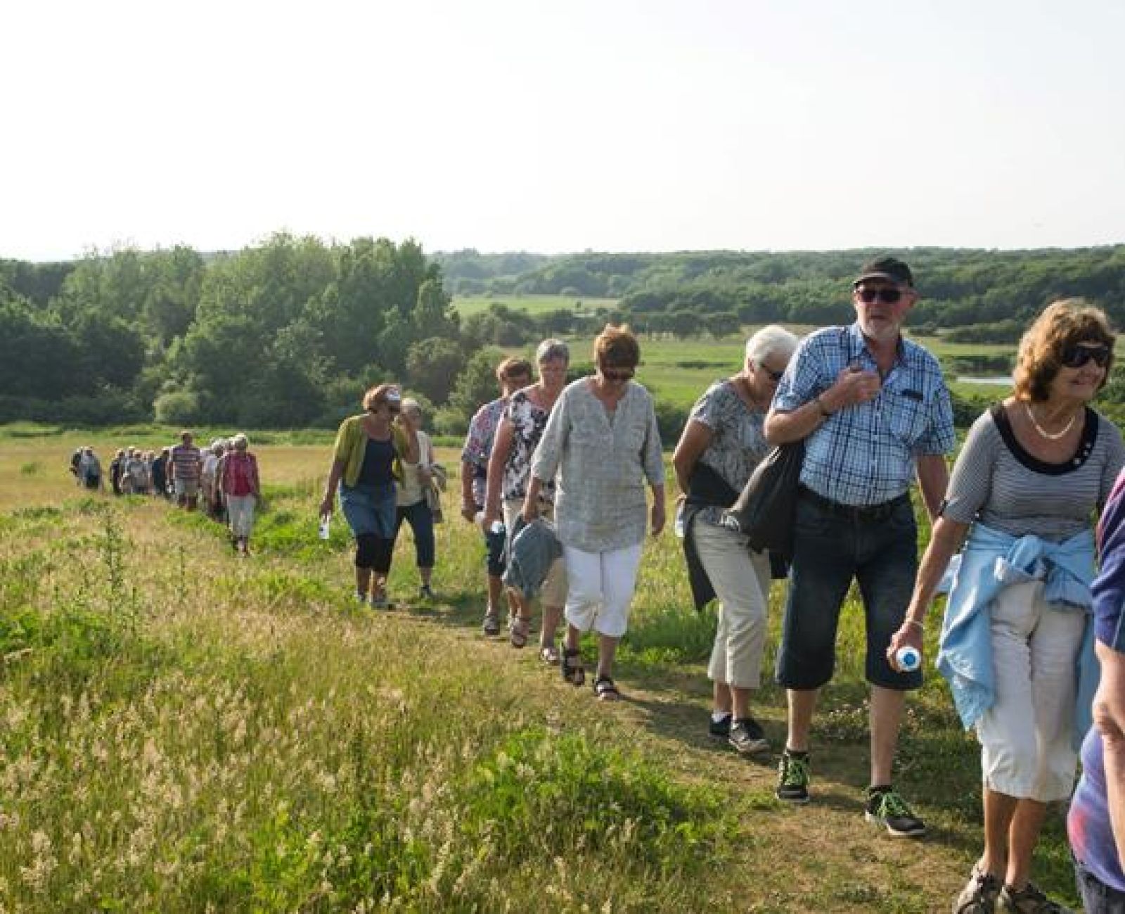 Strandskoven energisti
