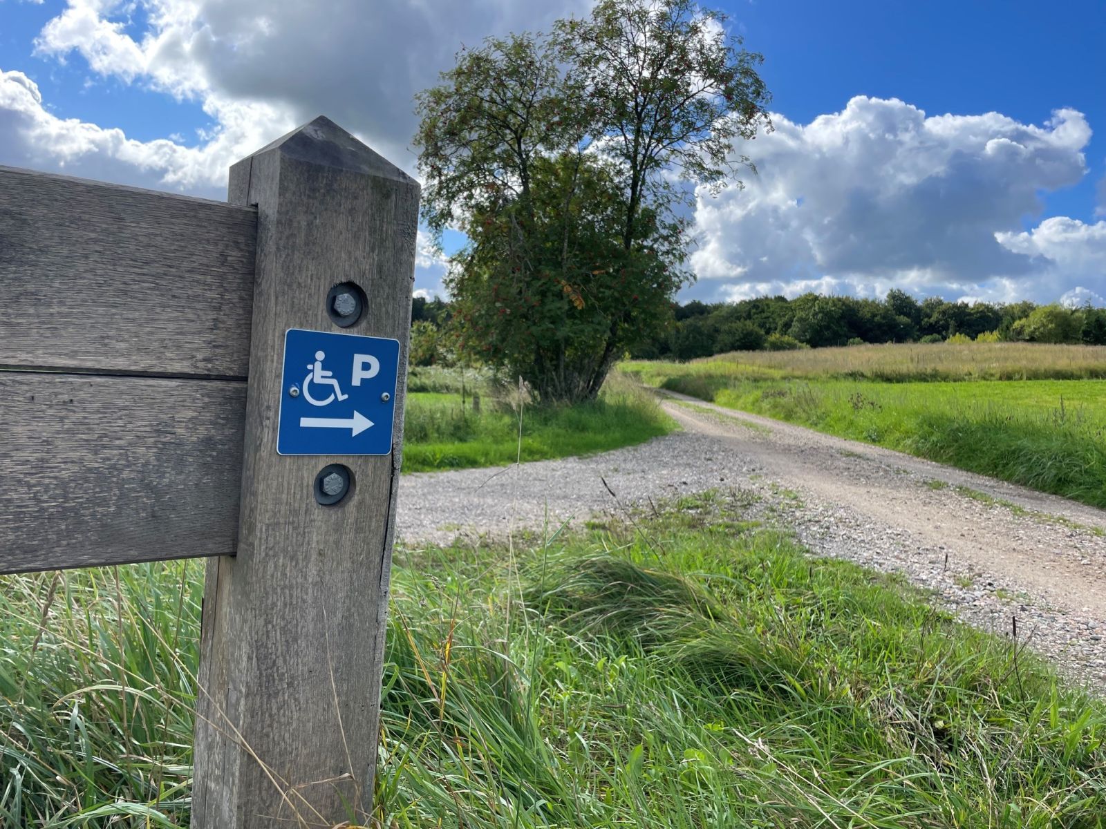 Piktogram for handicapparkeringsplads viser vej