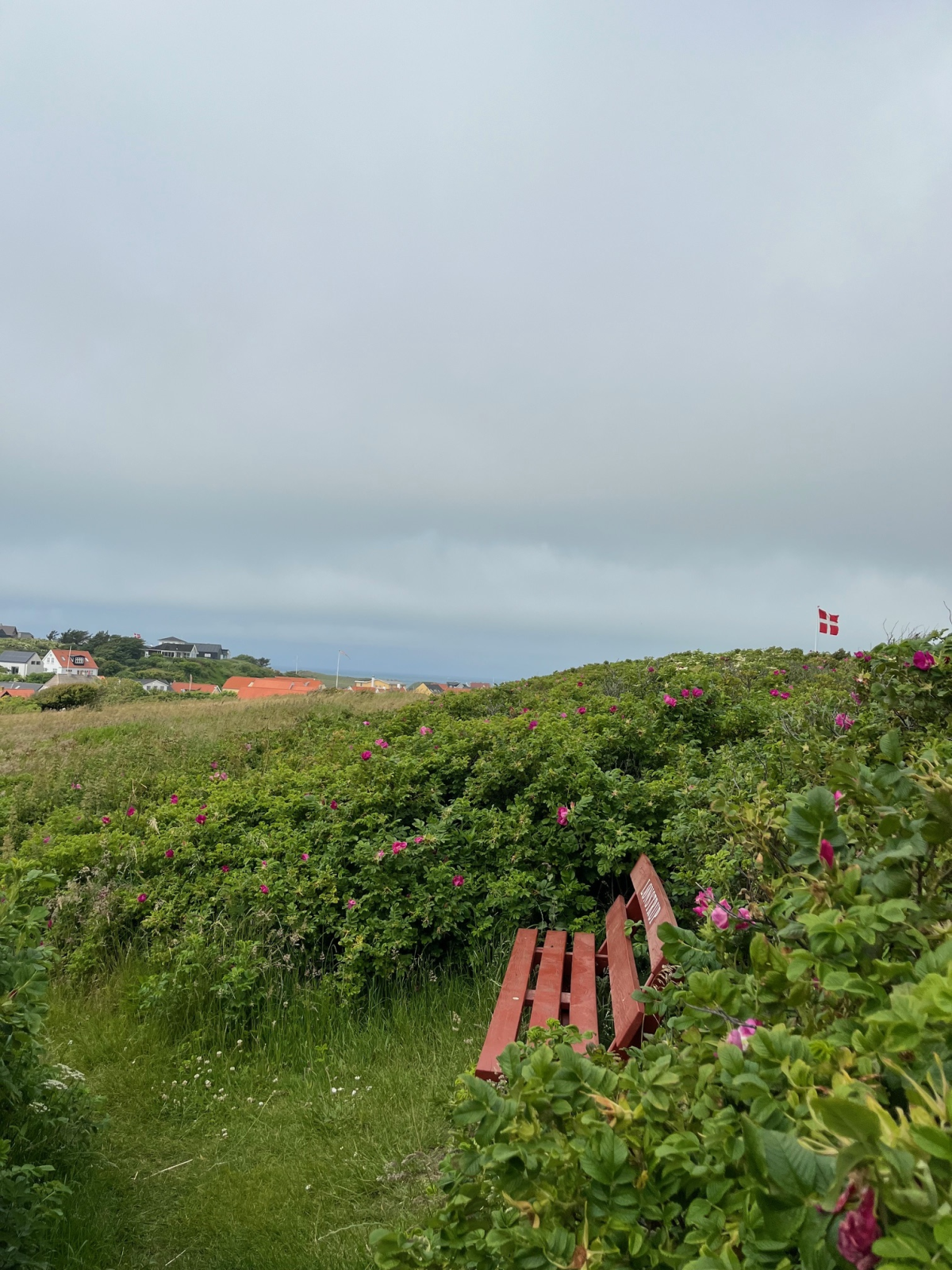 En "Lønstrup bænk" hvor man kan holde en pause, inden man fortsætter mod Lønstrup centrum. I horisonten kan man se havet og Lønstrup by.