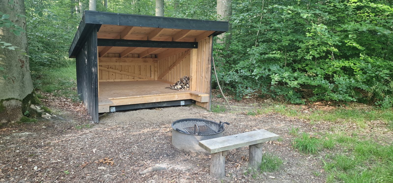 Shelter