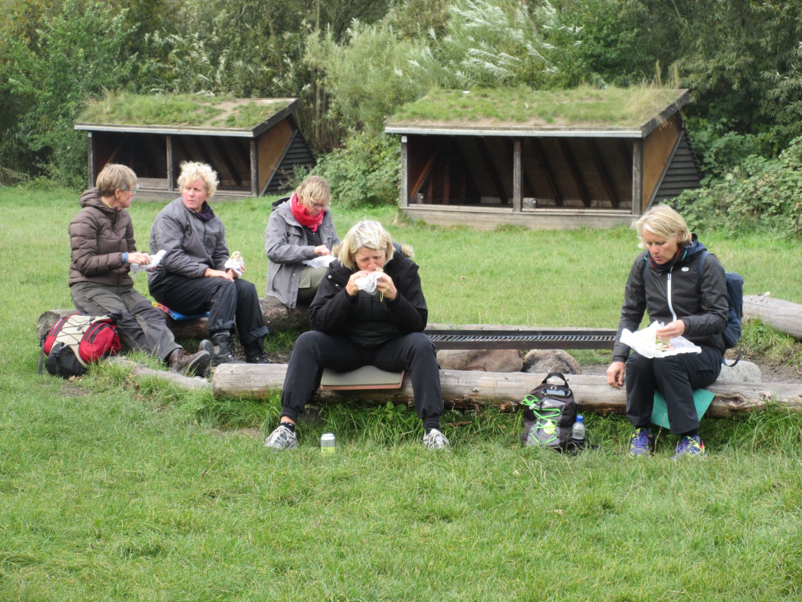 Bålsted med grillrist og shelters i baggrunden