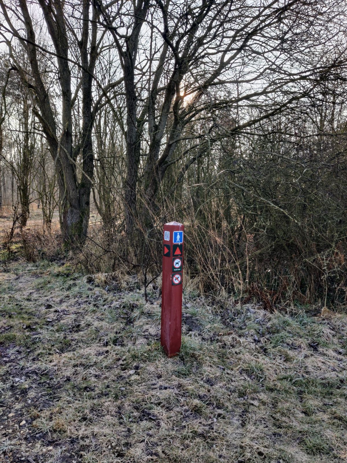 stipæl