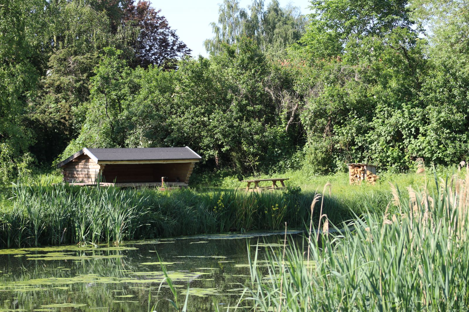 Nellemose Shelterplads – miniature 2