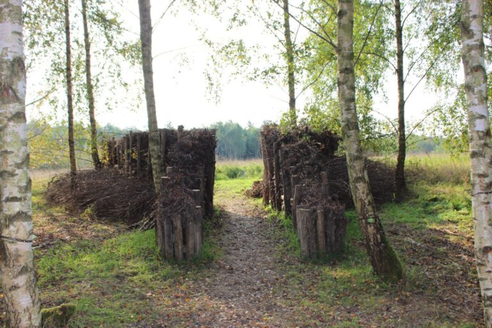 Installation med forskellige former for kvashegn