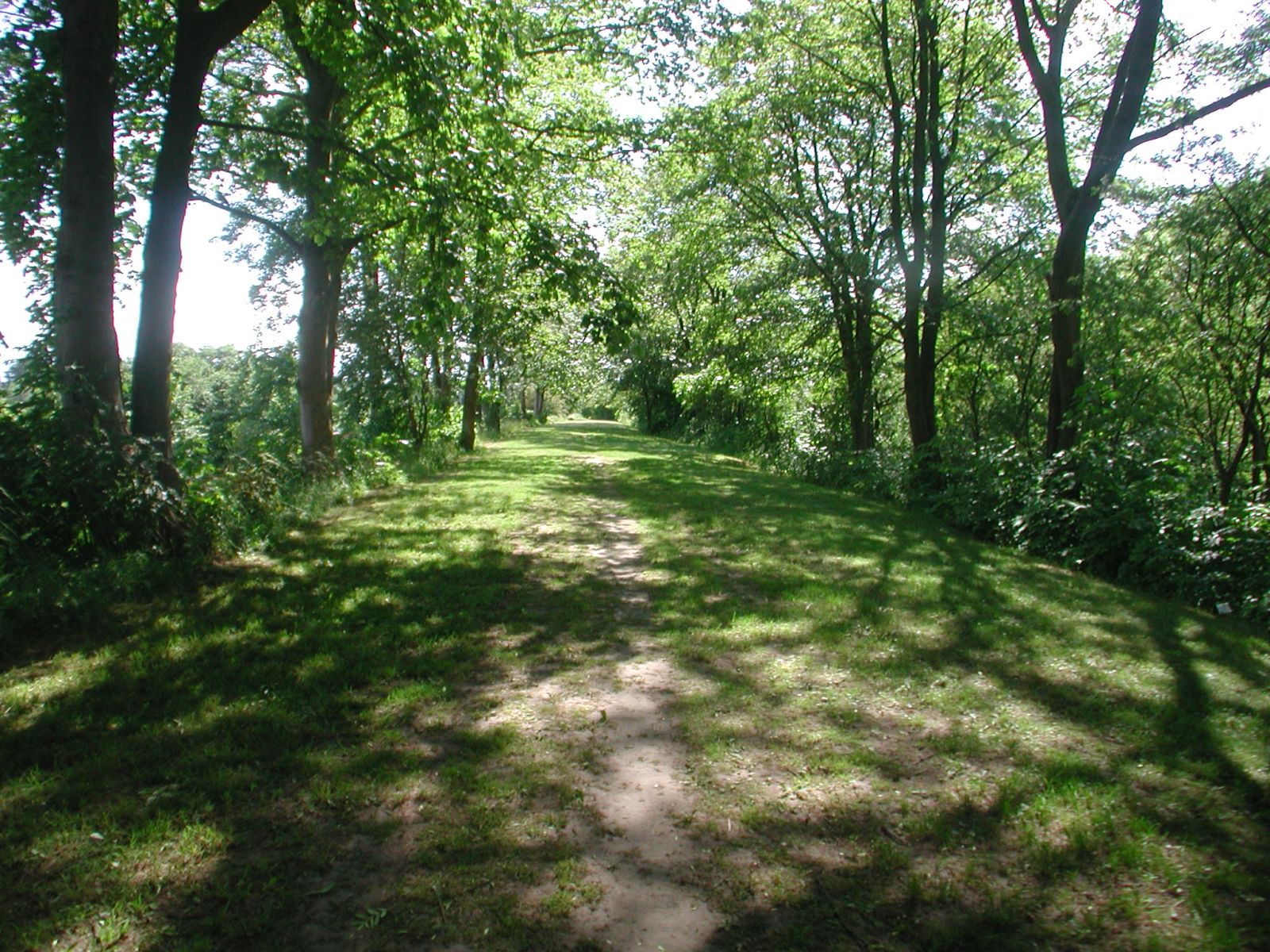 Trampesti oppe på Vestvolden