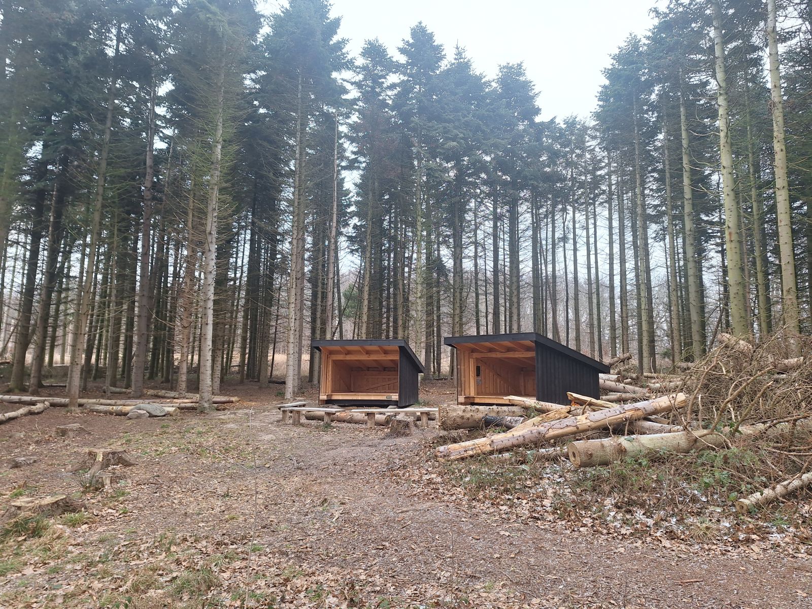 Billedet viser to shelters og et lille bålsted omgivet af fire bænke. Bag shelterene står høje grantræer.