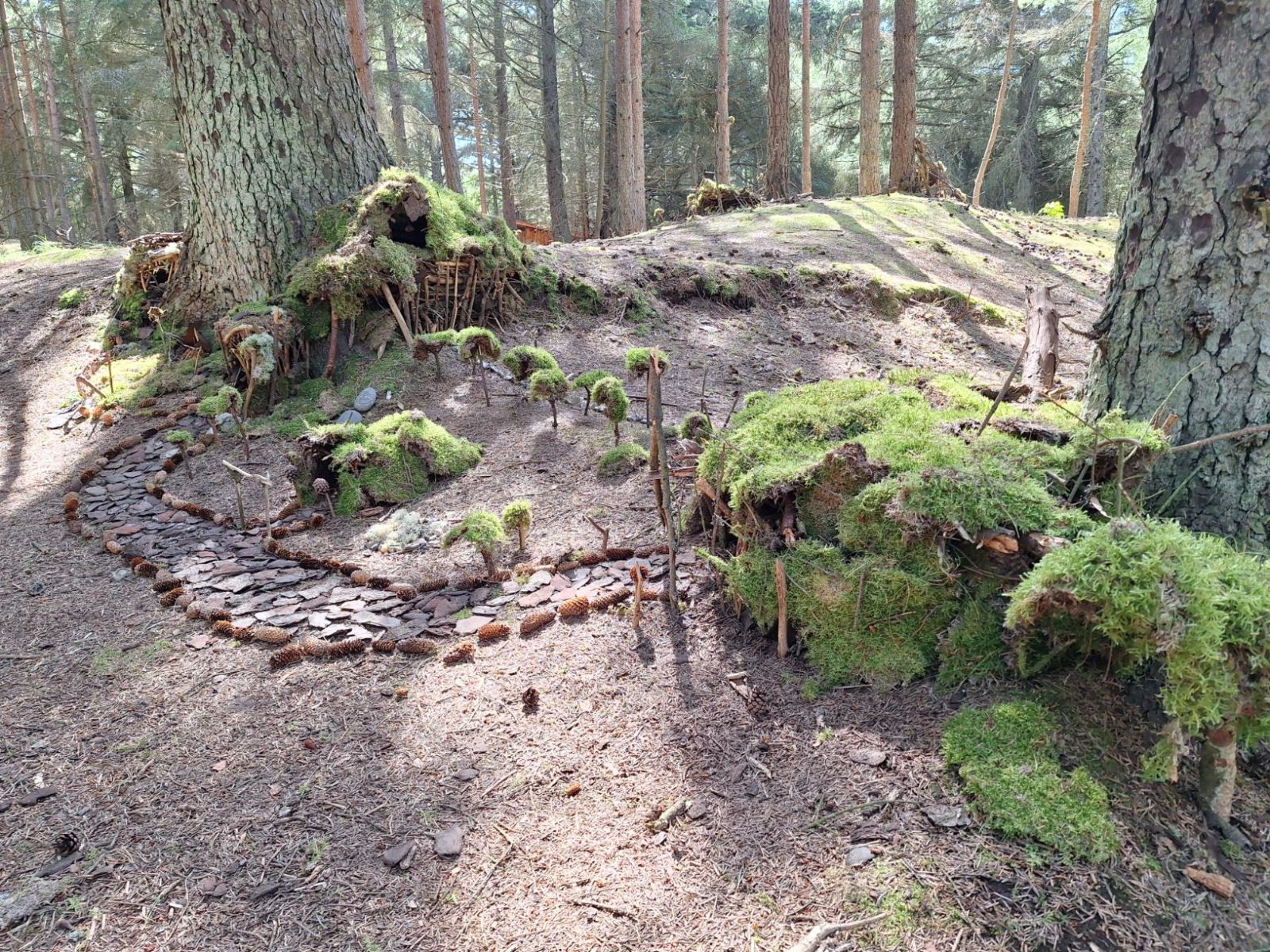 Shelterplads ved Spidsbjergvej - shelter 2 – miniature 3