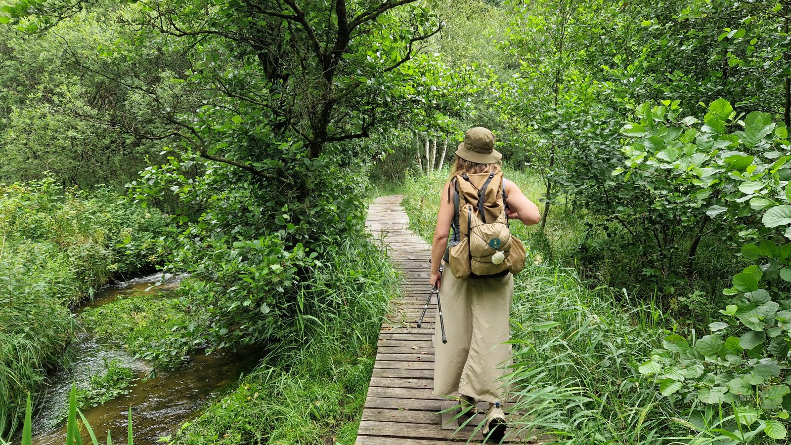 Vandrer går på gangbro langs Valsgård Bæk. Grønne blade på vegetationen.
