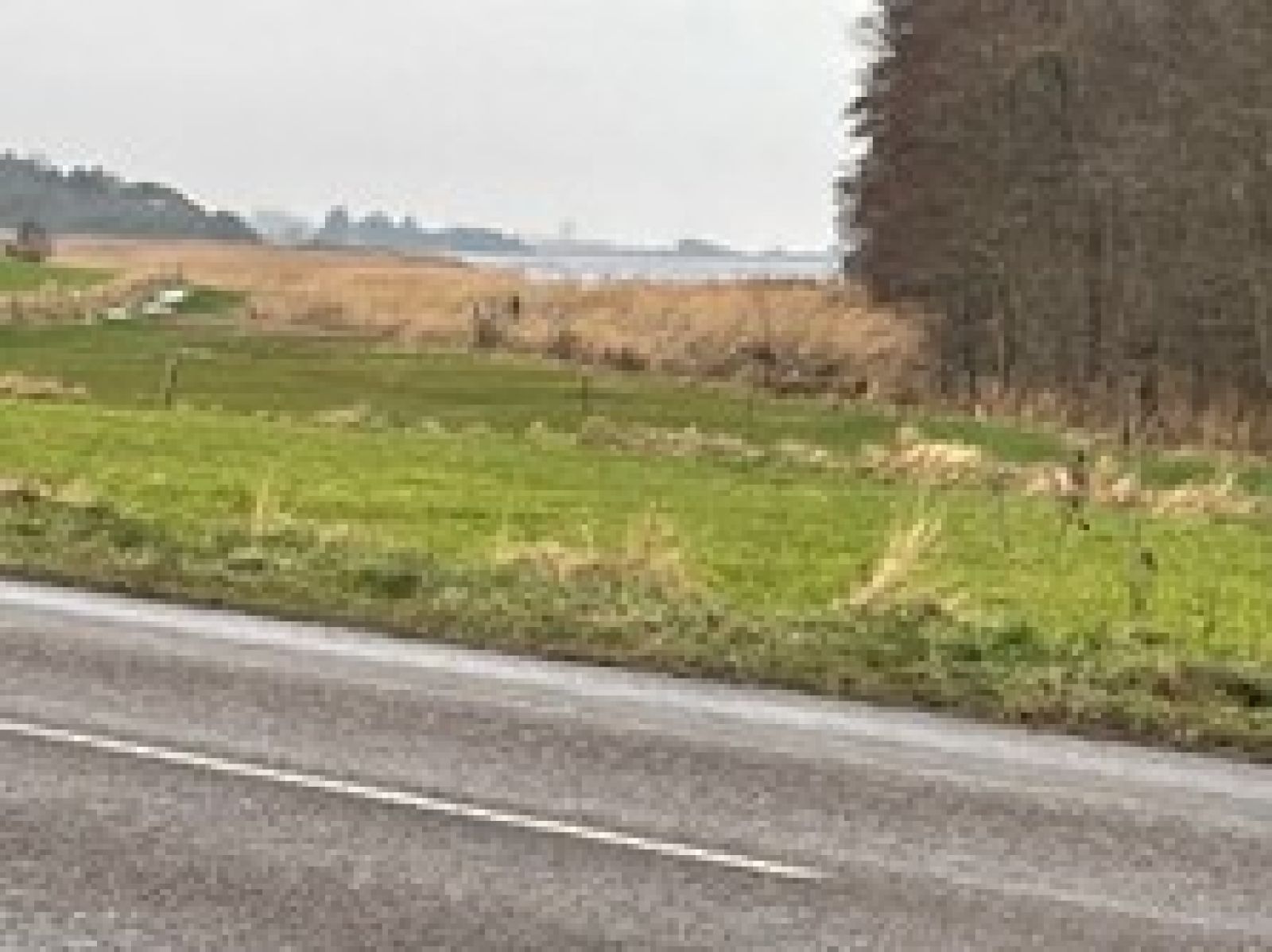 Udsigt fra bænken