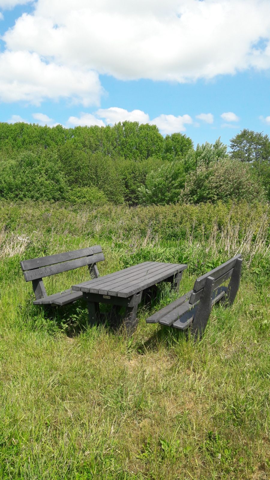 Bord og bænksæt ved Hovby Eng