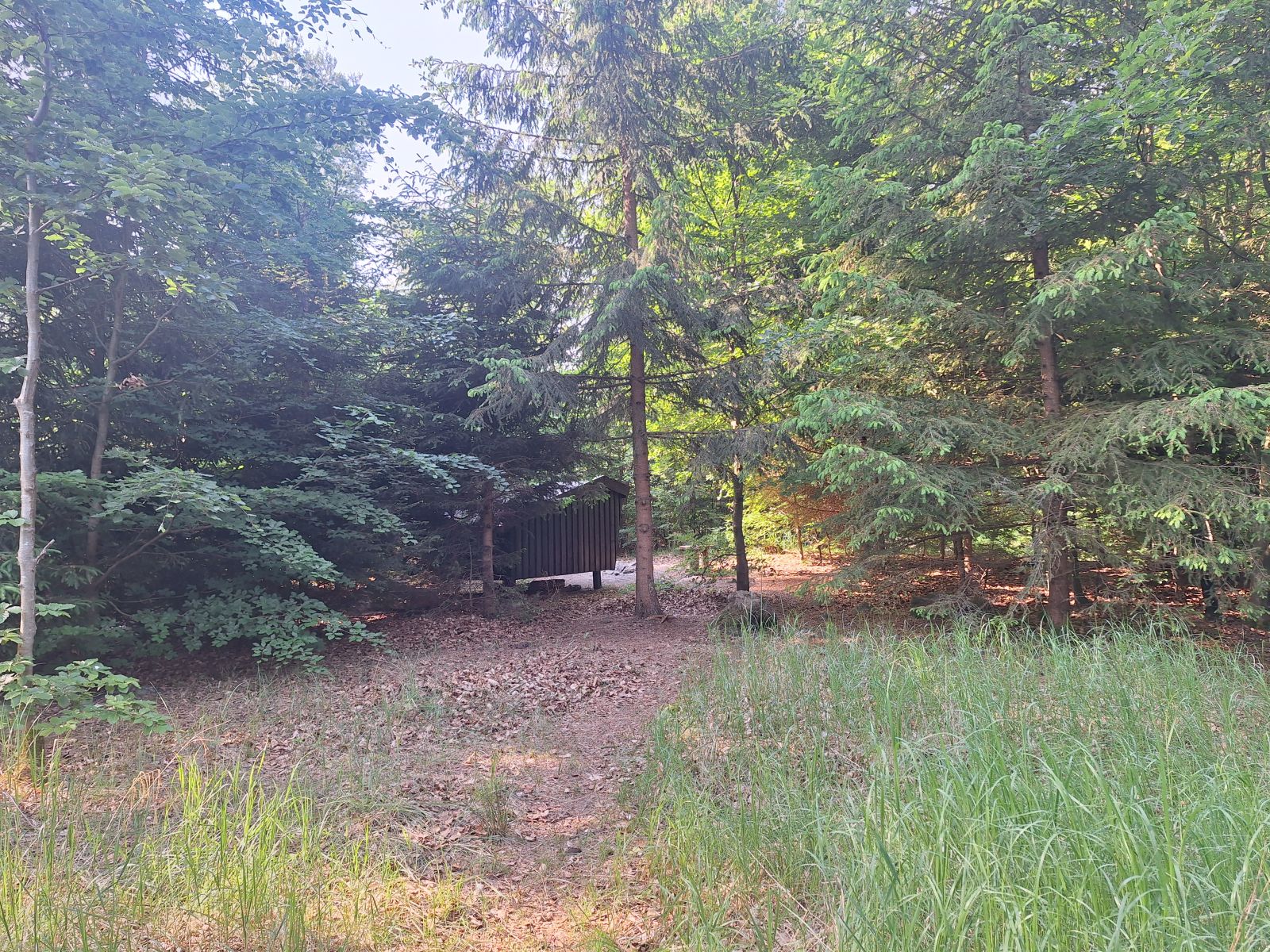 Shelter