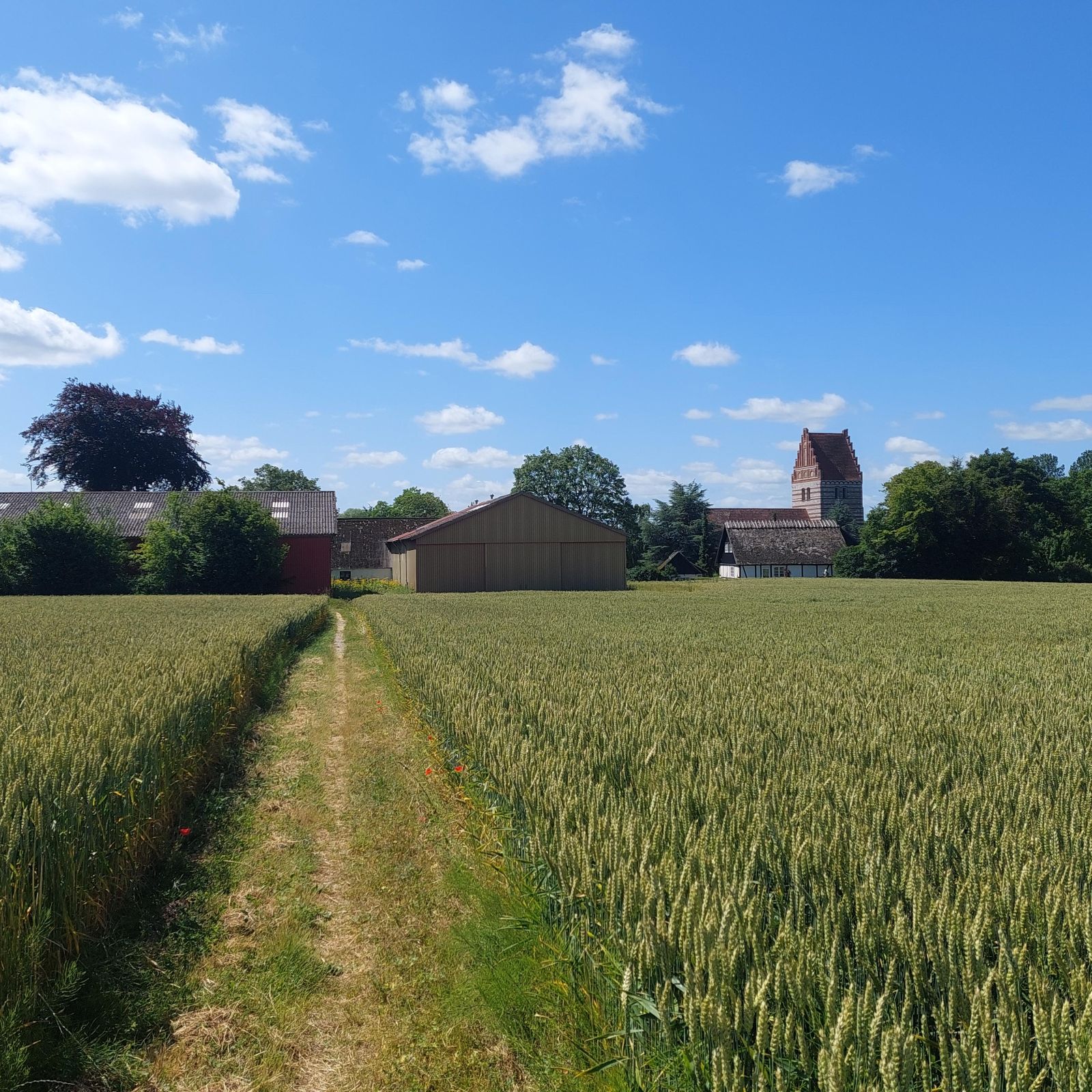 Trampesti igennem marker