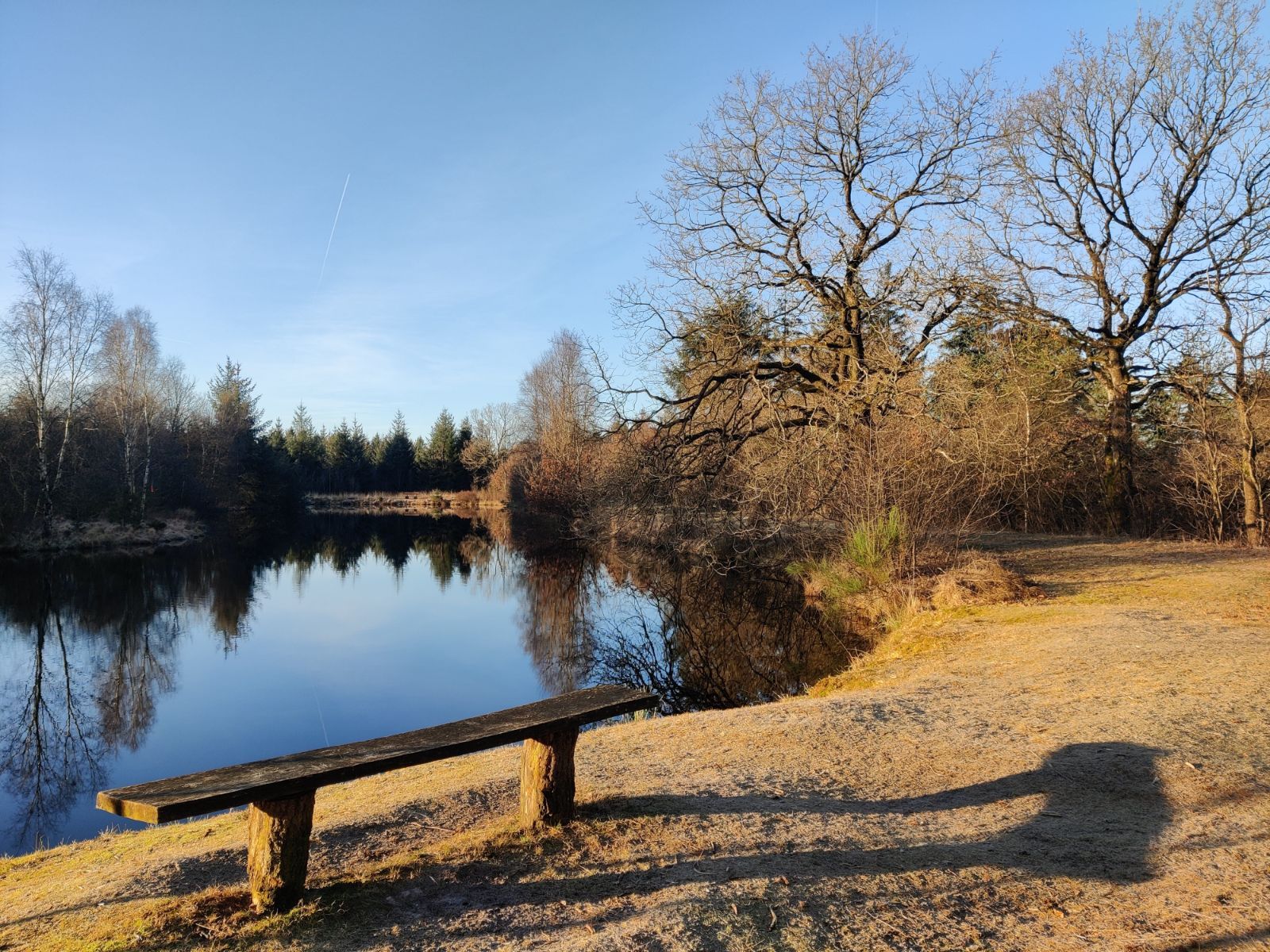 bænk ved Hønning dam