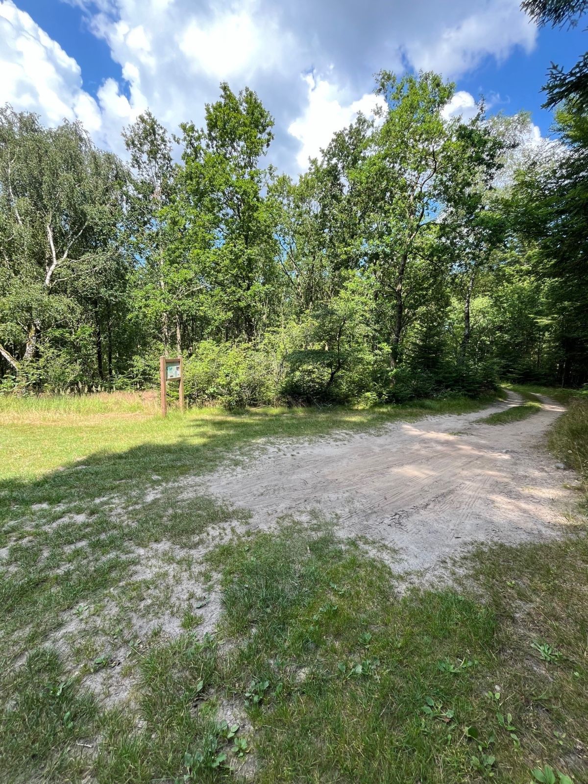 Parkeringspladsen, Tislum Bakker. Underlag er græs og lidt sand.