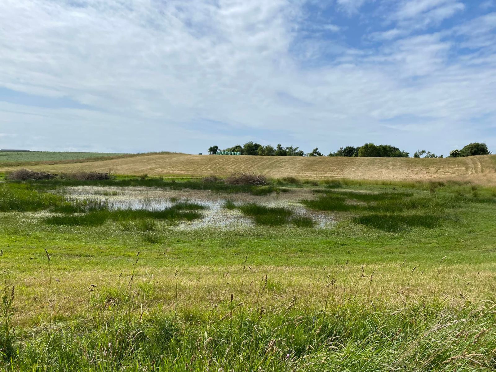 Muslinge Ruten