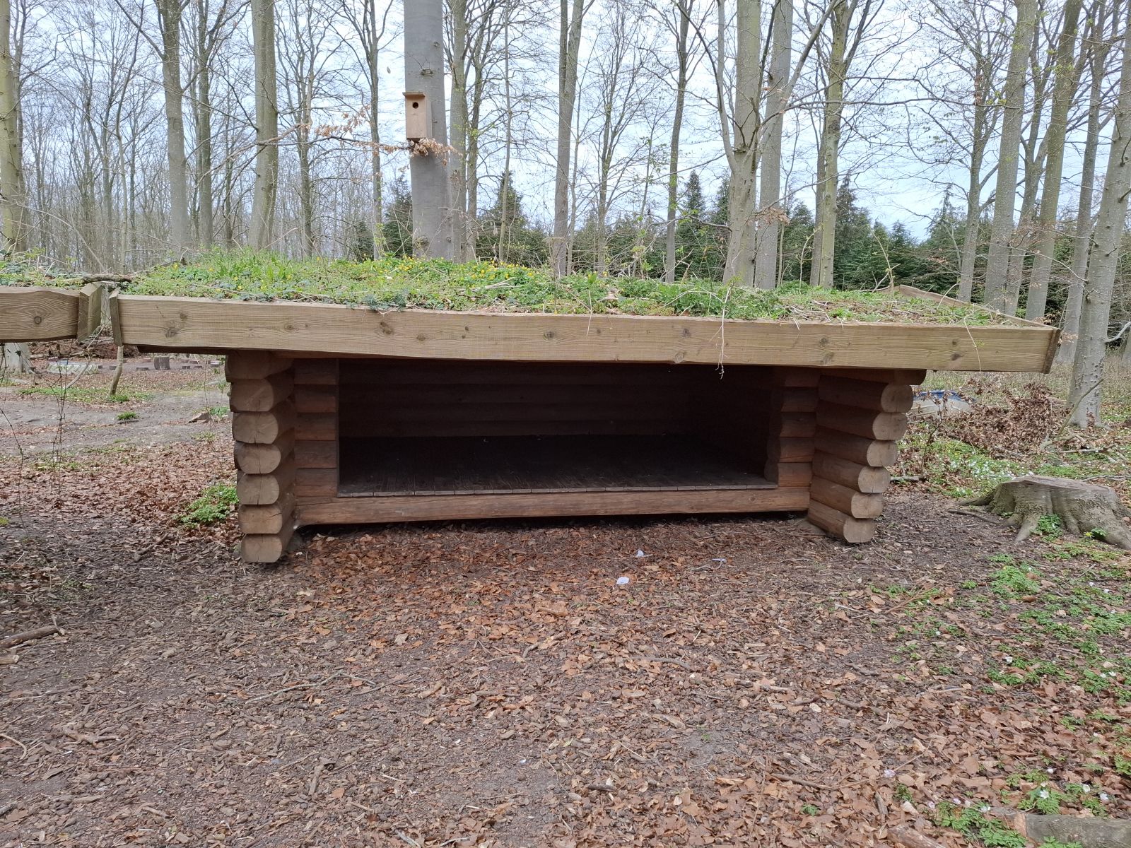 Shelter Eventyrskoven-Frederiksdal – miniature 1