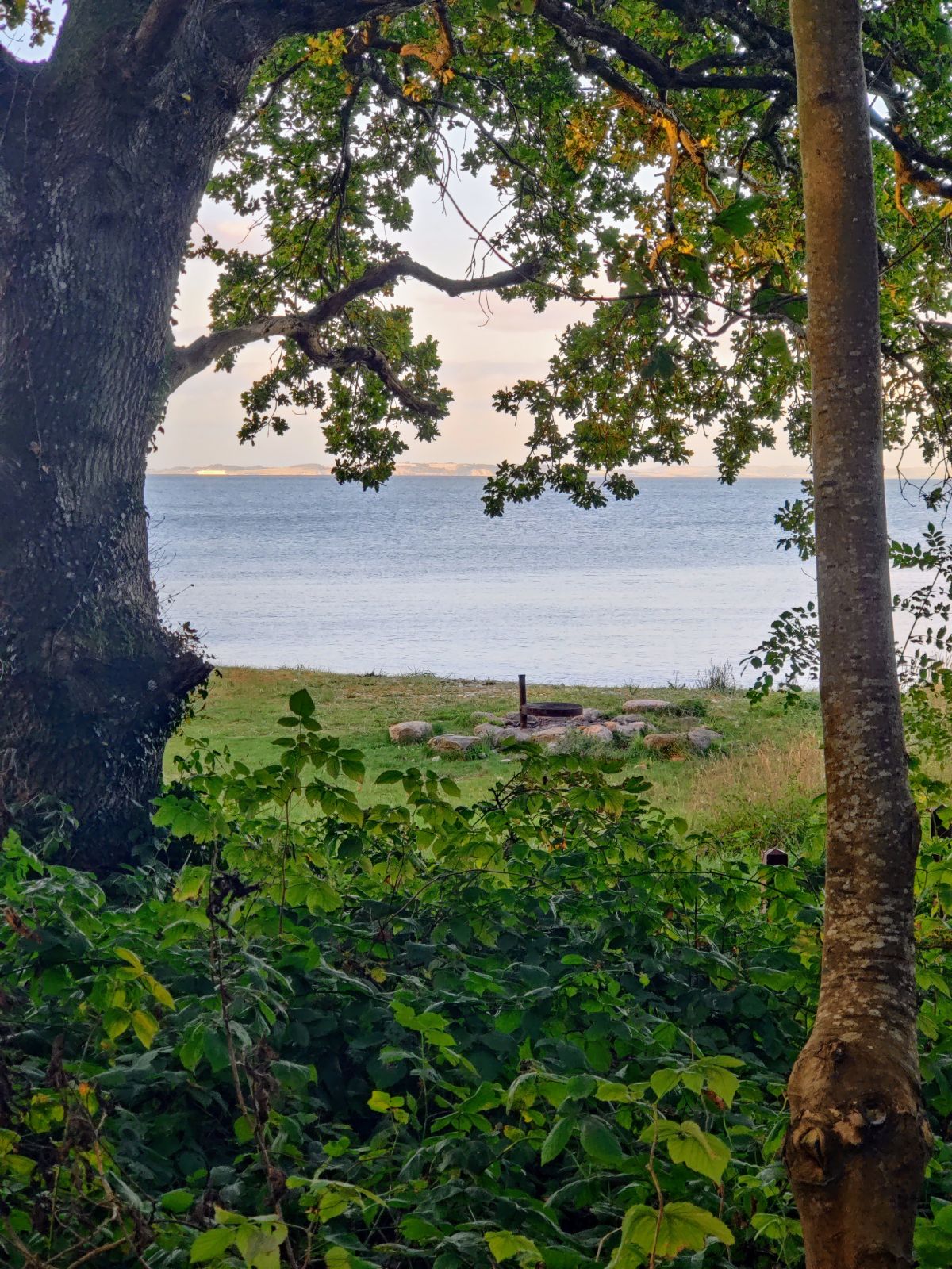 Bål- og hængekøjeplads ved Mariendal strand