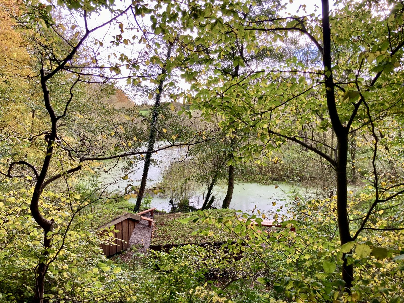 Shelter plads set fra oven