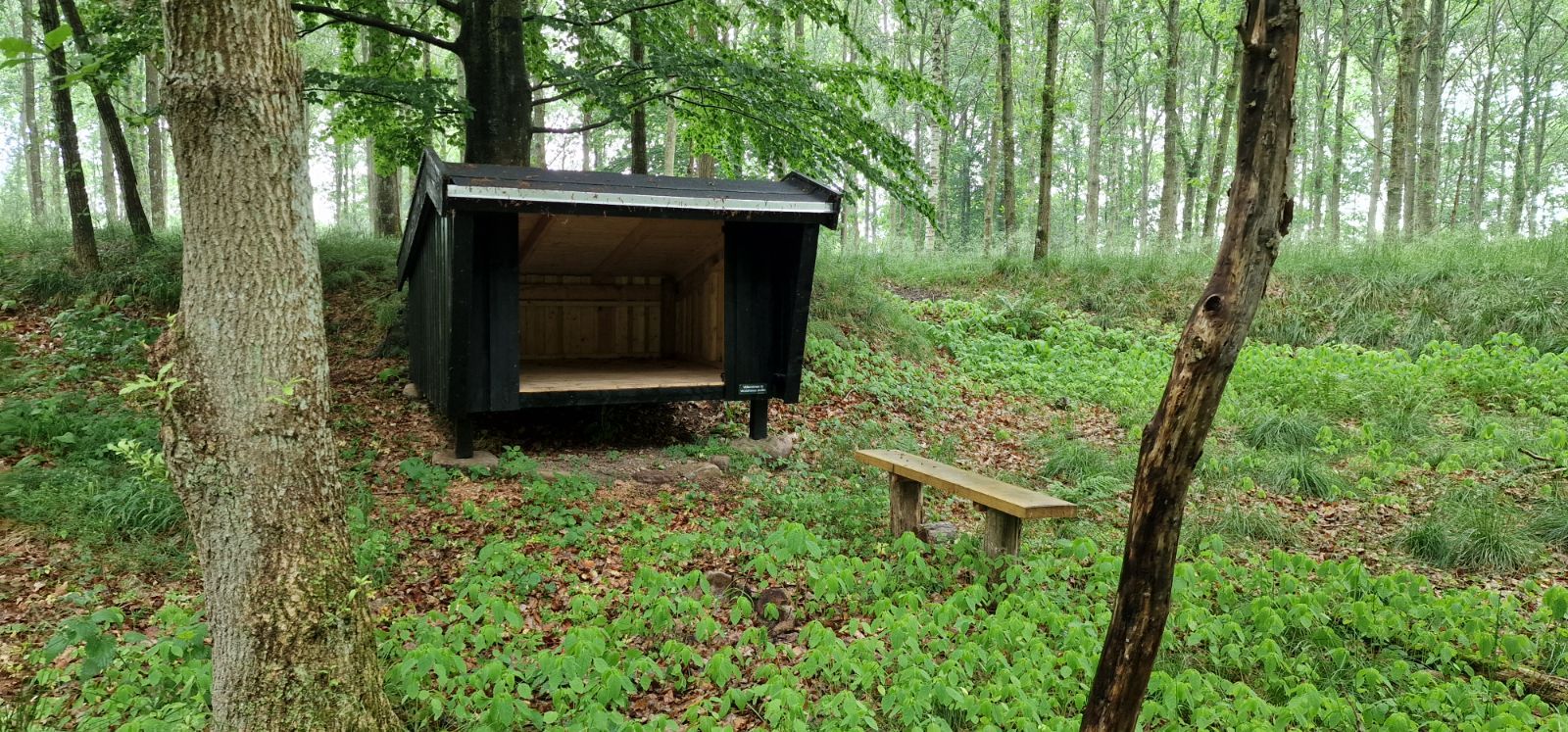 Vendehalsen shelter – miniature 1