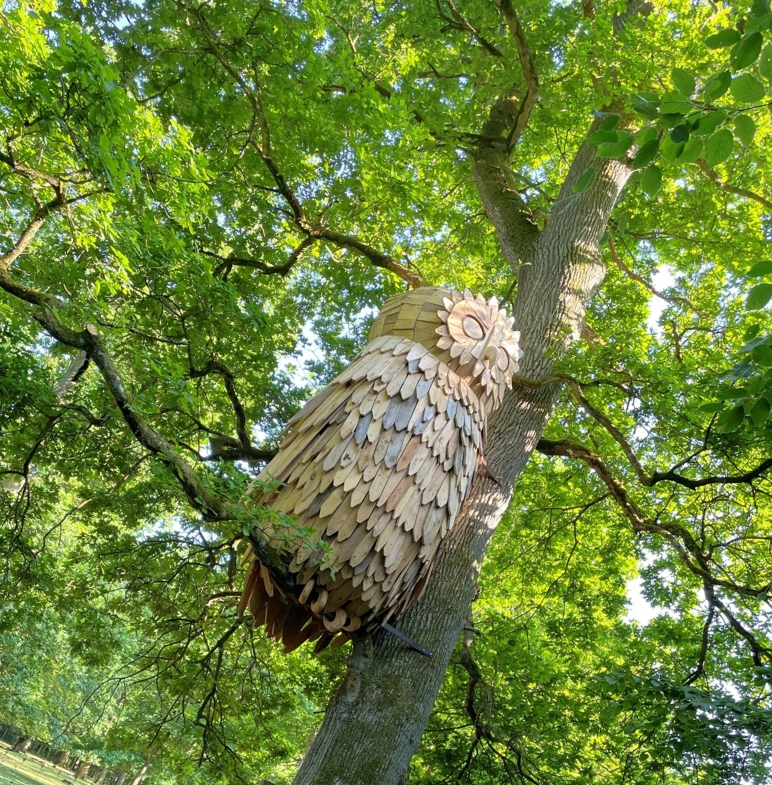 Træskulptur af en ugle 