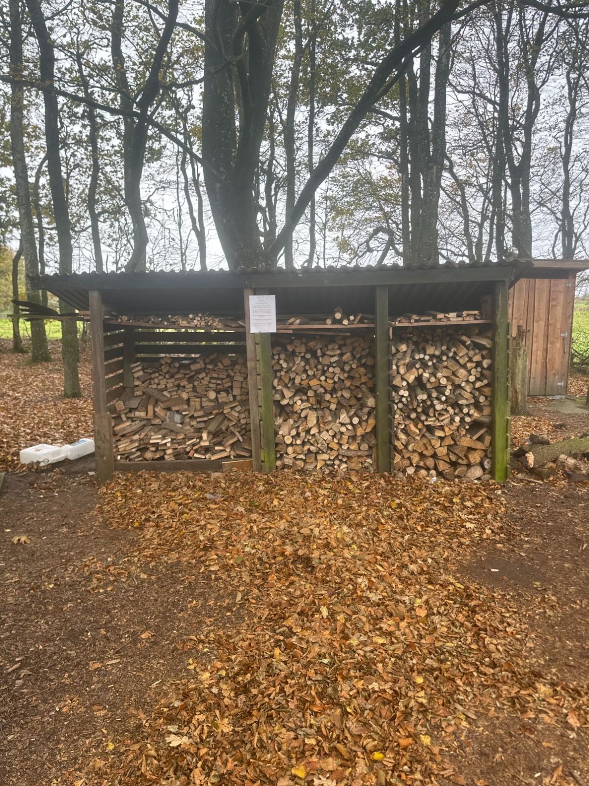 Shelter – miniature 3