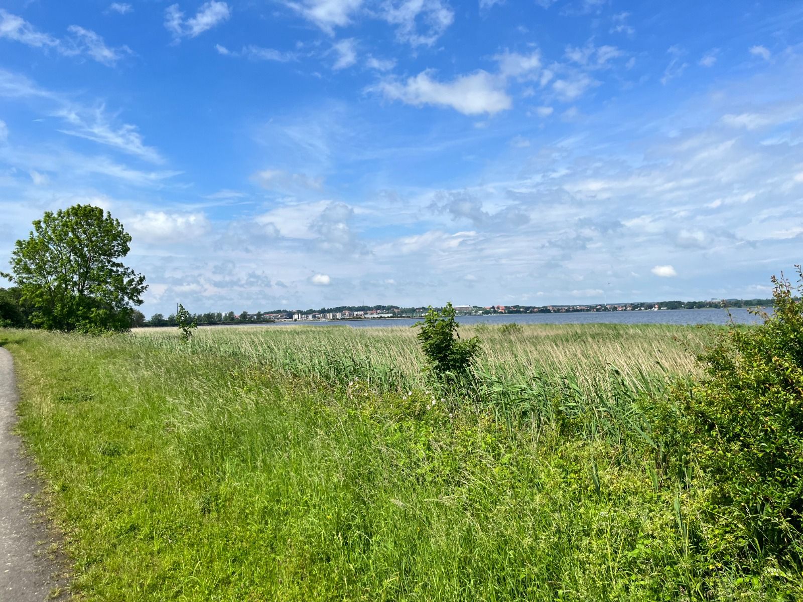 Flere steder er der en flot udsigt over Horsens Fjord og by
