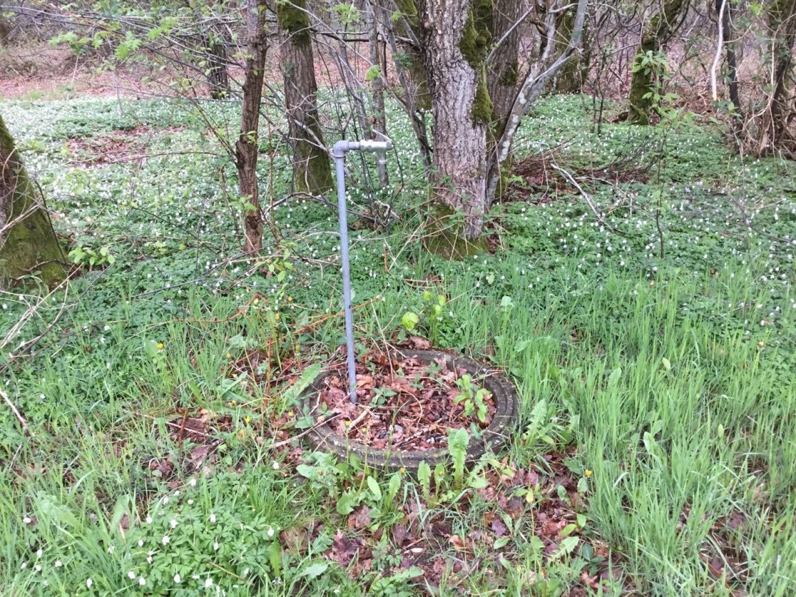 Vandpost