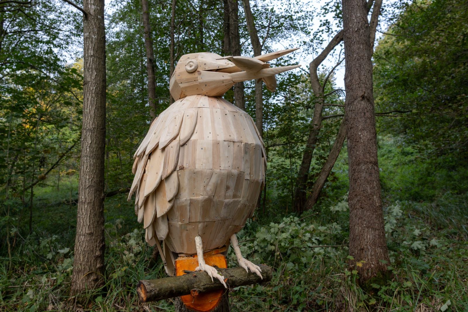 Træskulptur af en isfugl