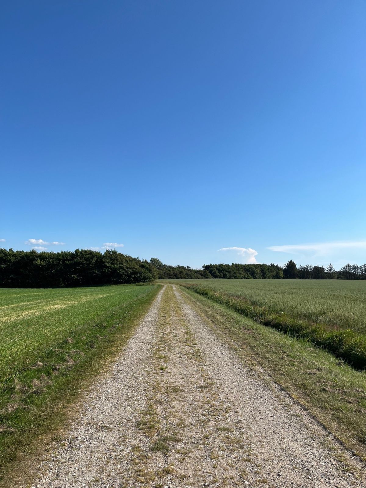 Helholmsvej. Underlag er grus. 