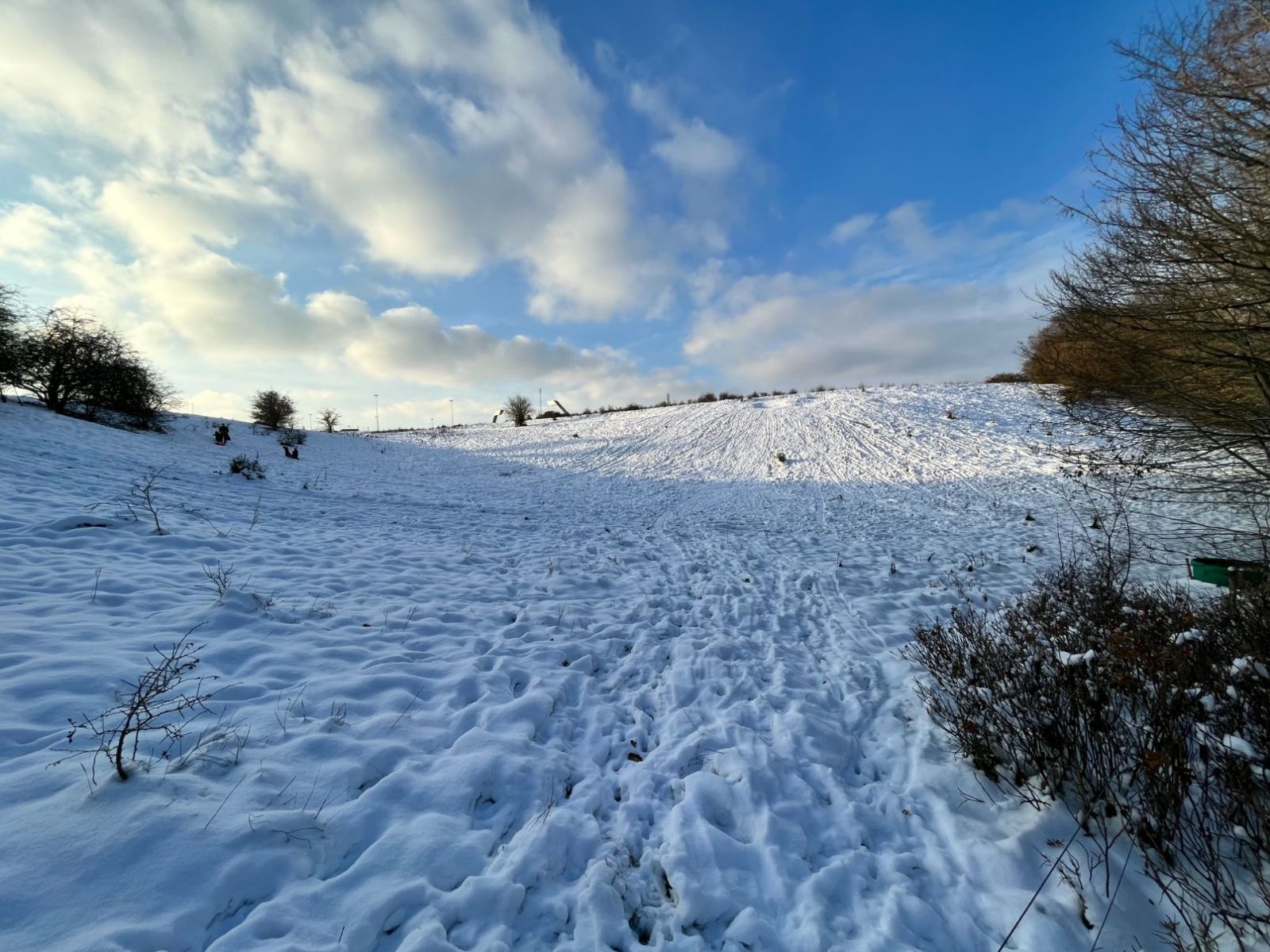 Billede af kælkebakke ved Flintebakken med sne og omkranset af buske