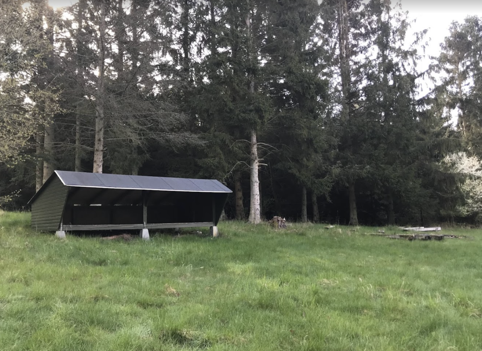 Shelter og bålplads