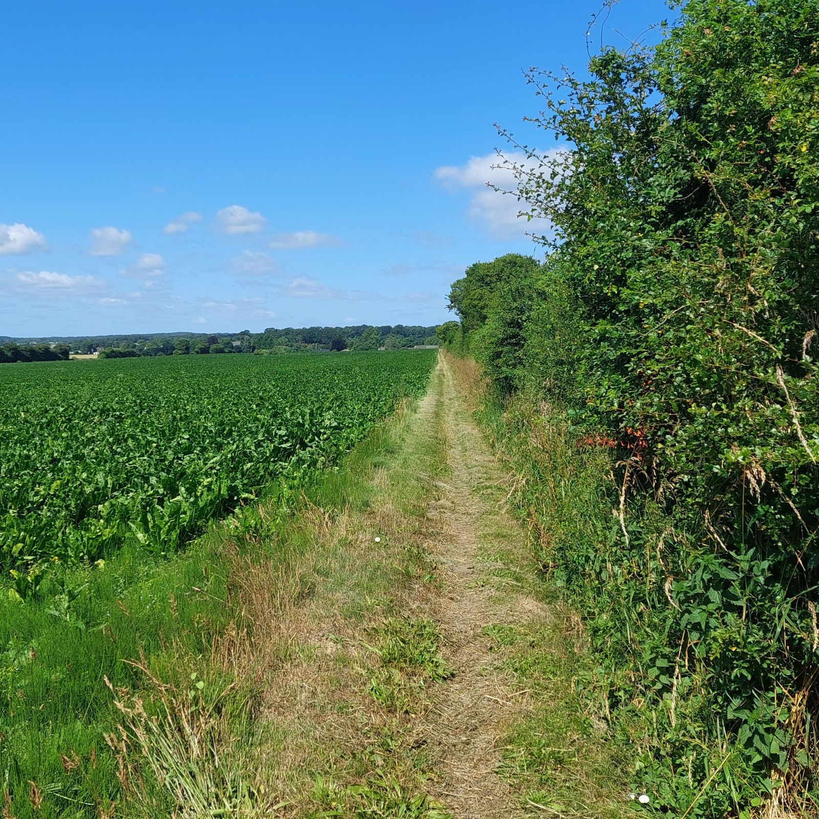 Trampesti langs markskel