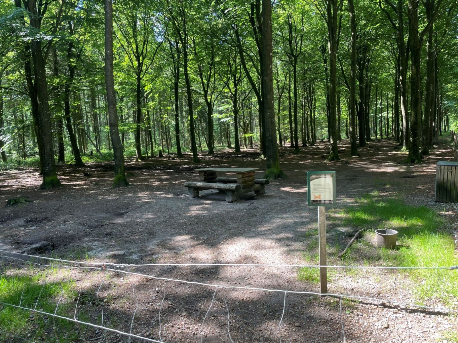 Hundeskoven i Sdr. Plantage