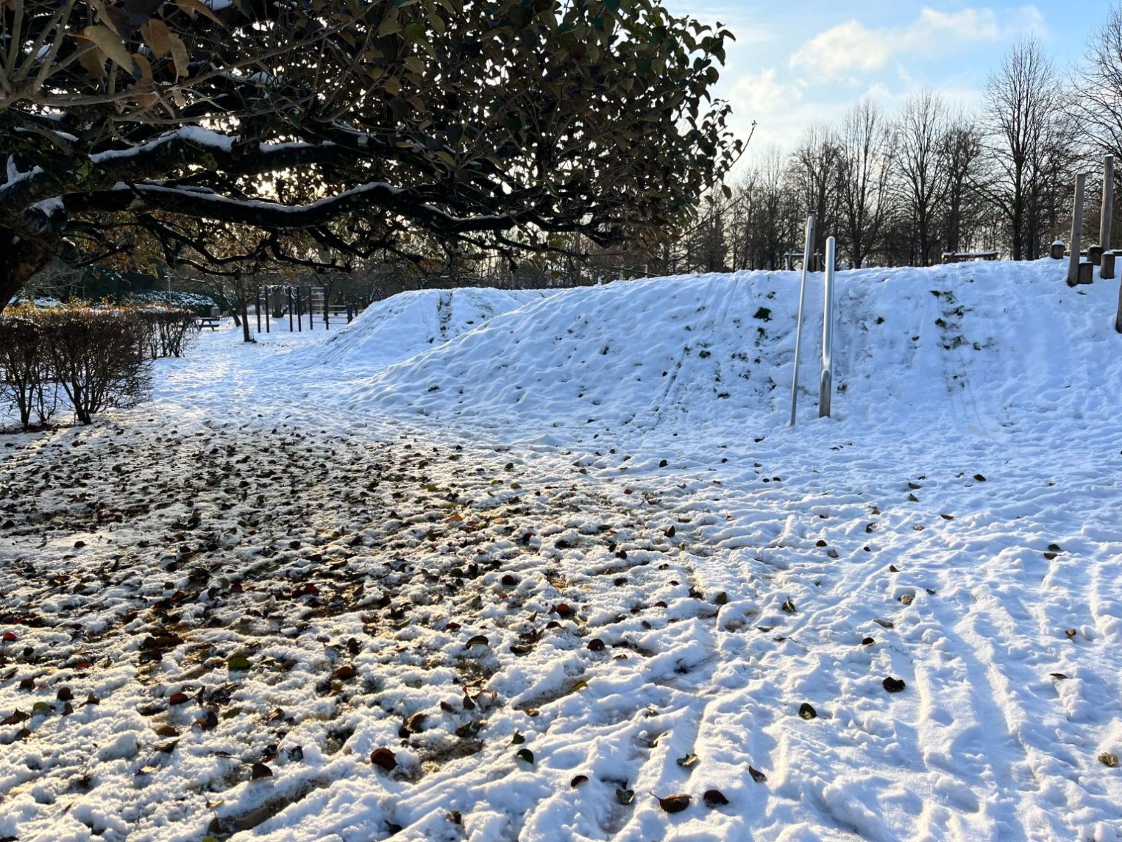 Billede af volden ved legepladsen, som også kan bruges som kælkebakke om vinteren, når der er sne