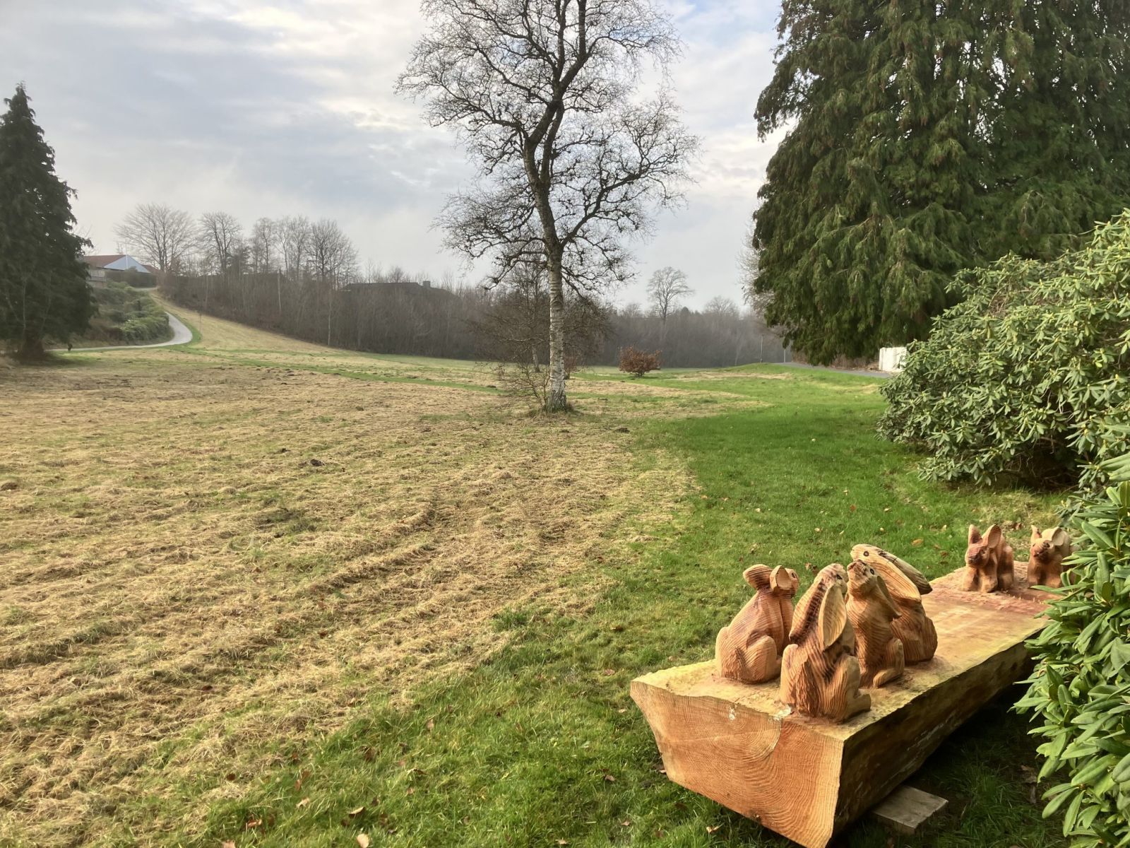 Grønt område og bænk fra ruten