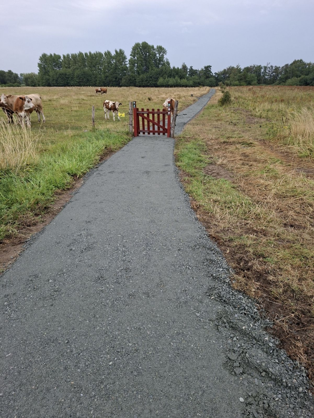 Stabilgrus 