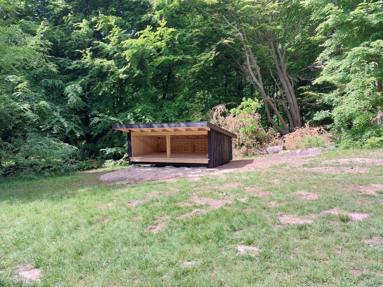 Shelter