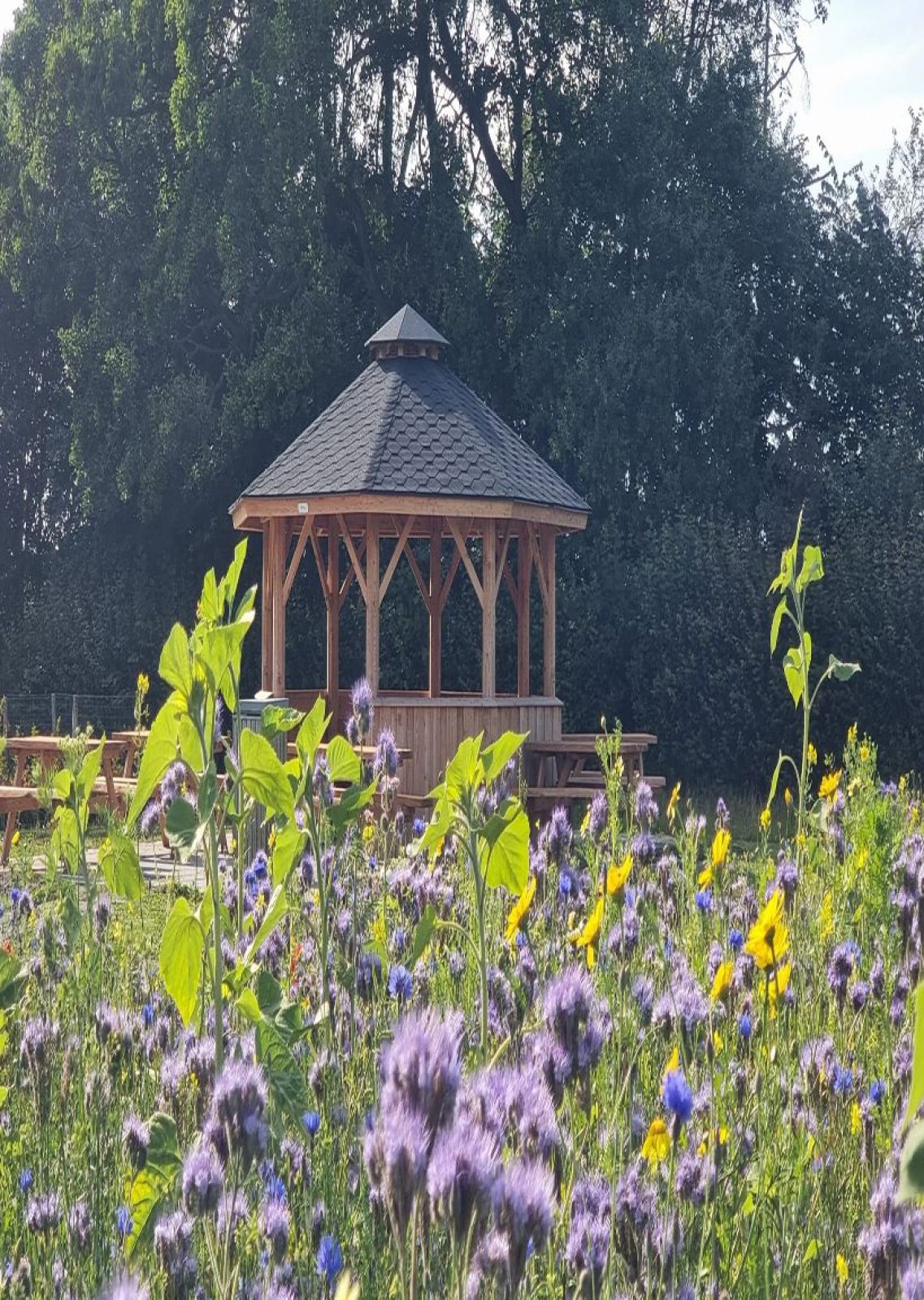 Moseby Bypark