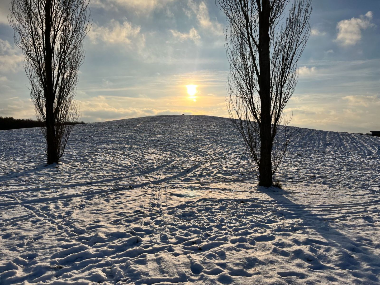 Billede af kælkebakken ved Østerhåbsvej med sne og træer i forgrunden og slot solskin