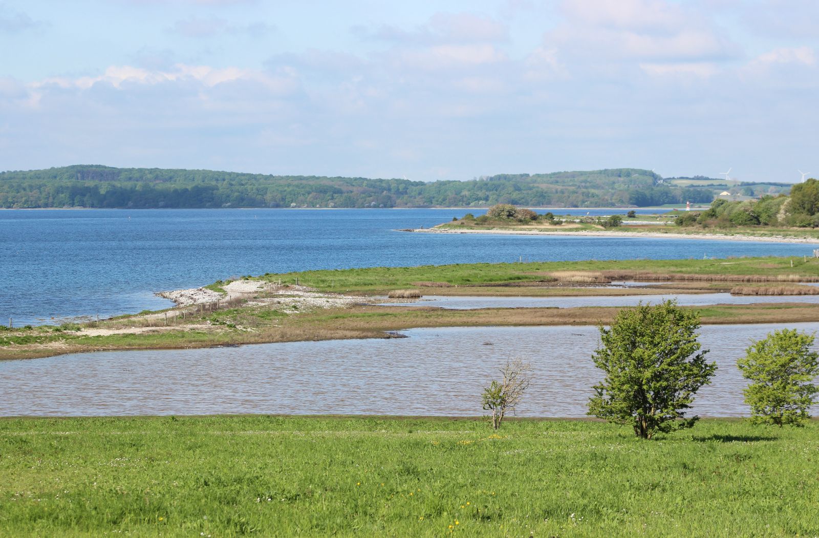 Oplevelser i Nyborg Fjord