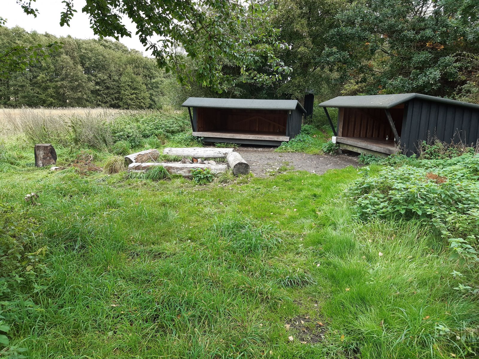 Lejrplads Stubbe Sø - shelter nr. 1 (bookbar)                          – miniature 3