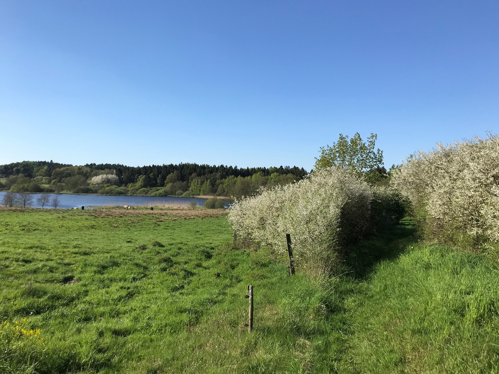 Stien ned til Alling Kloster