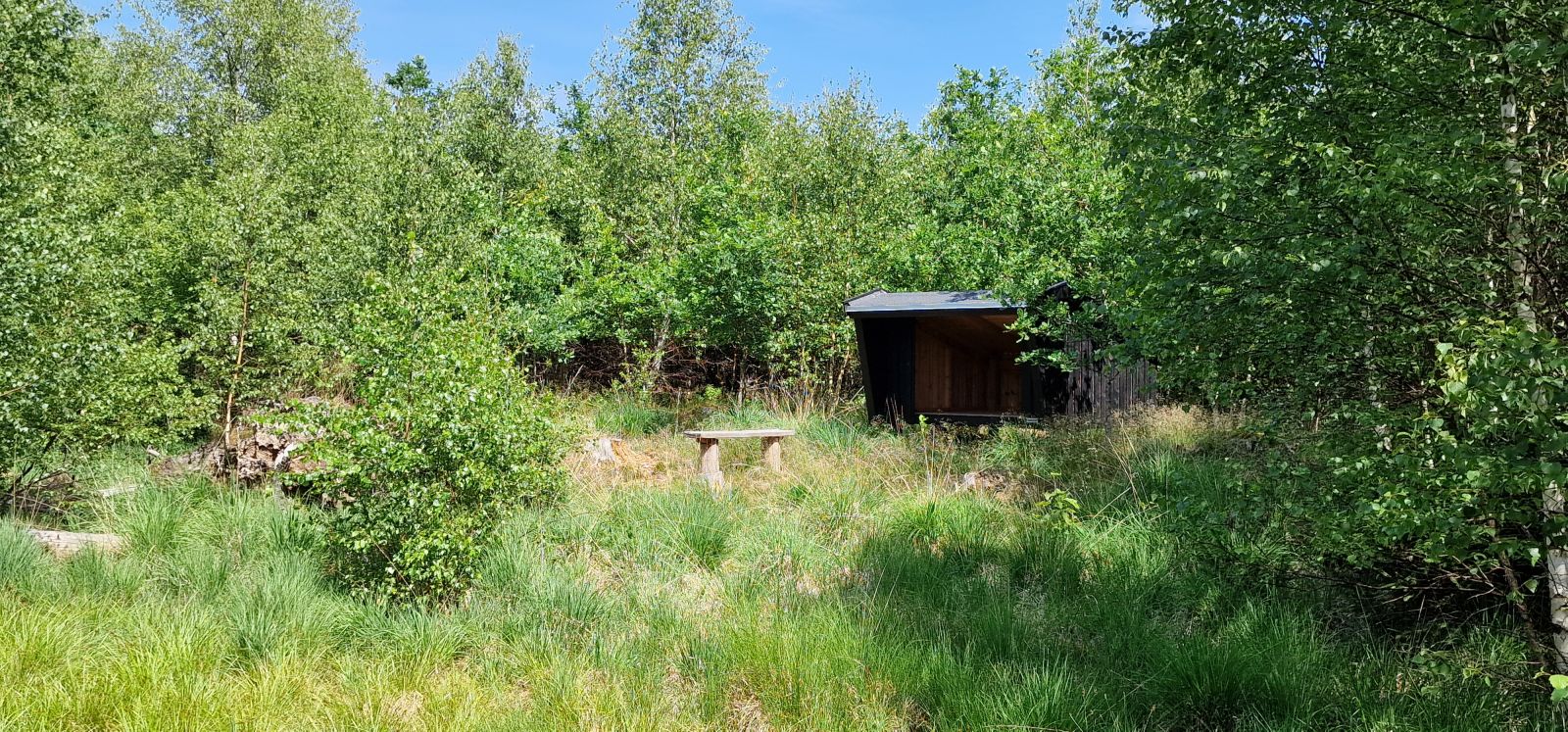 Shelter og bænk i et åbent område med ny bevoksning