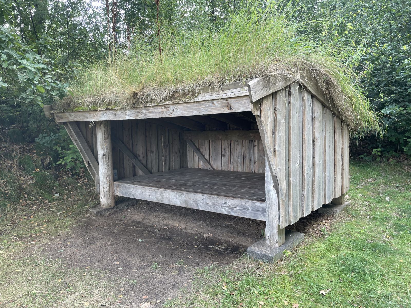 Billede af shelter