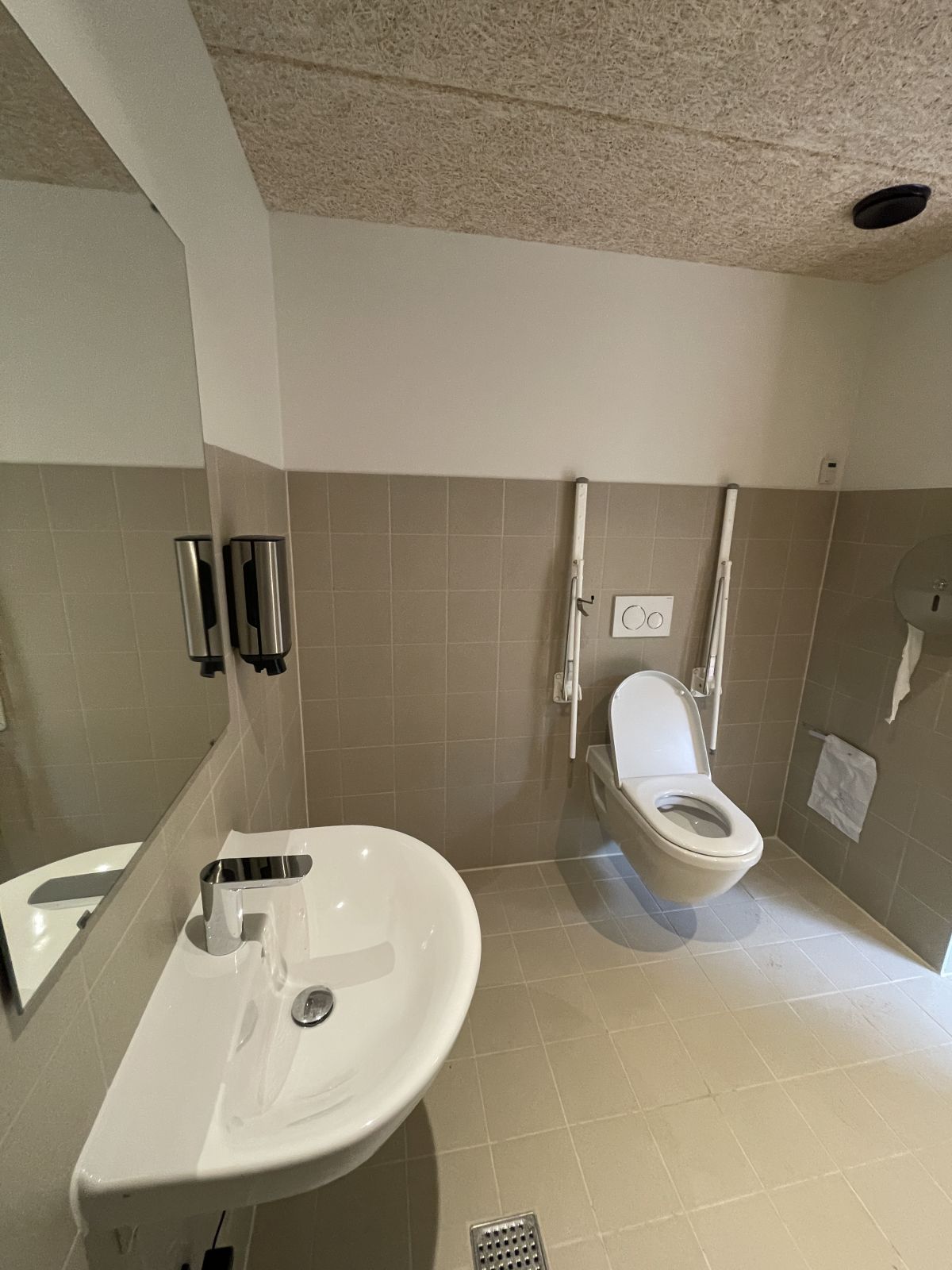 Handicaptoilet ved Skimminghøj Teltplads