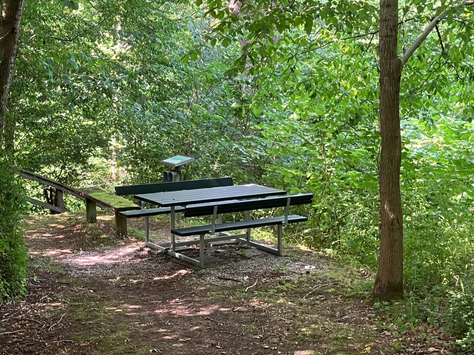 Bord/bænksæt i skov